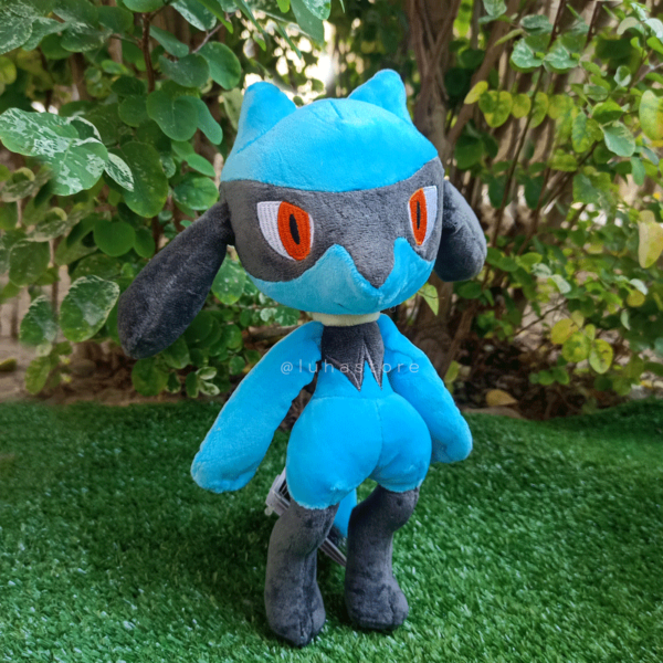 Riolu