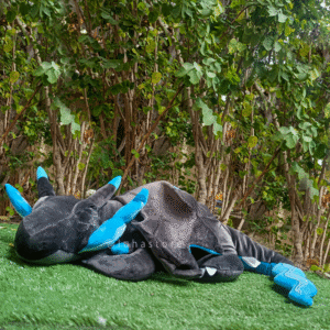 Mega Charizard X sleep