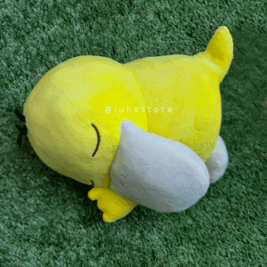 Psyduck sleep